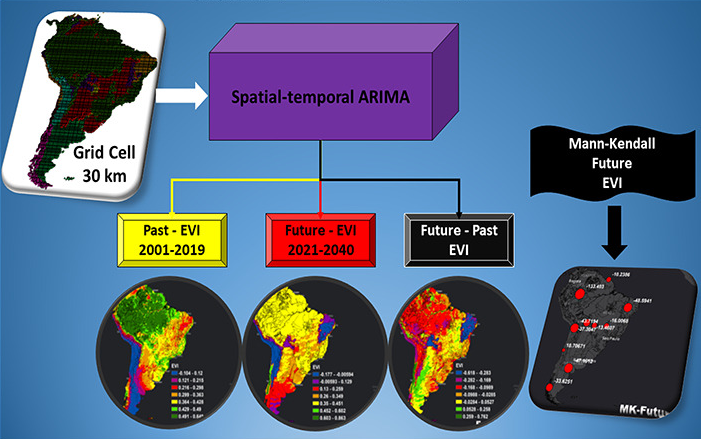 South American biomes